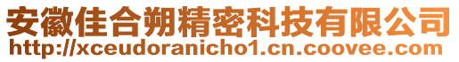 安徽佳合朔精密科技有限公司