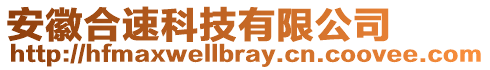 安徽合速科技有限公司