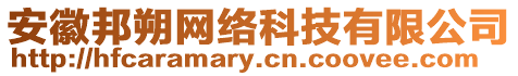 安徽邦朔網絡科技有限公司