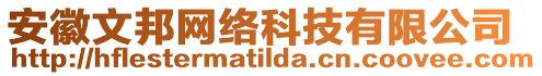 安徽文邦網(wǎng)絡(luò)科技有限公司