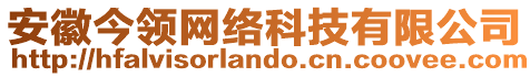 安徽今領(lǐng)網(wǎng)絡(luò)科技有限公司