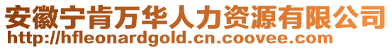 安徽寧肯萬華人力資源有限公司