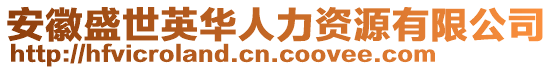 安徽盛世英華人力資源有限公司