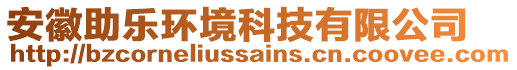 安徽助樂環境科技有限公司
