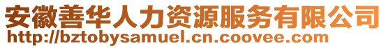 安徽善華人力資源服務(wù)有限公司