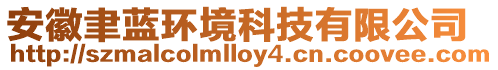 安徽聿藍(lán)環(huán)境科技有限公司