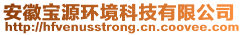 安徽寶源環境科技有限公司