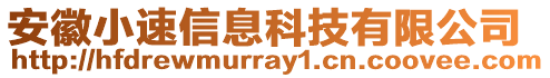 安徽小速信息科技有限公司