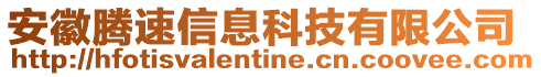 安徽騰速信息科技有限公司