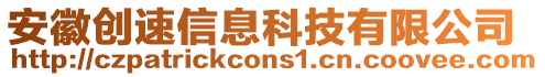 安徽創(chuàng)速信息科技有限公司