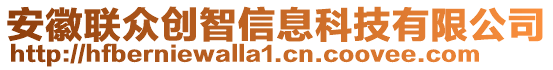 安徽聯(lián)眾創(chuàng)智信息科技有限公司