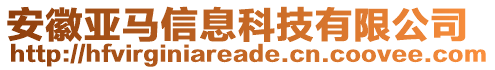 安徽亞馬信息科技有限公司