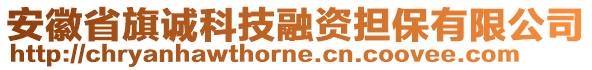 安徽省旗誠科技融資擔(dān)保有限公司