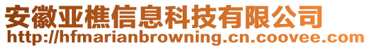 安徽亞樵信息科技有限公司