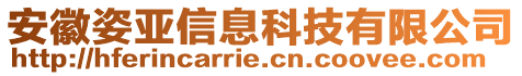 安徽姿亞信息科技有限公司