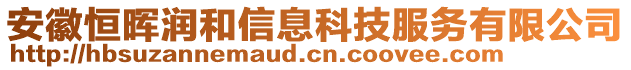 安徽恒晖润和信息科技服务有限公司