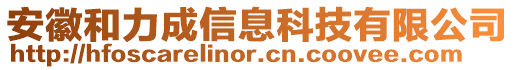 安徽和力成信息科技有限公司