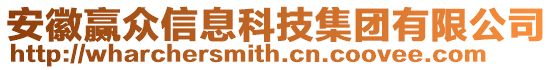 安徽贏眾信息科技集團有限公司