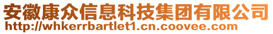 安徽康众信息科技集团有限公司