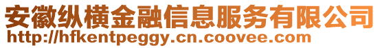 安徽縱橫金融信息服務(wù)有限公司