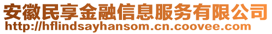 安徽民享金融信息服務(wù)有限公司