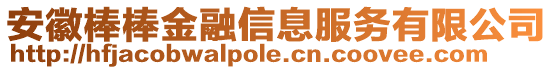 安徽棒棒金融信息服務(wù)有限公司