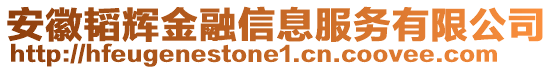 安徽韜輝金融信息服務有限公司