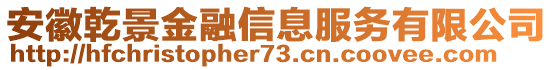 安徽乾景金融信息服務(wù)有限公司