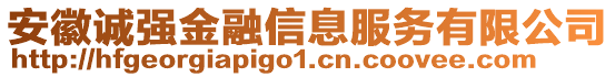 安徽誠強(qiáng)金融信息服務(wù)有限公司