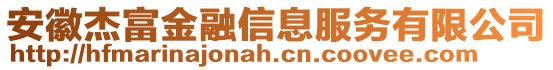 安徽杰富金融信息服務(wù)有限公司