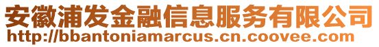 安徽浦發(fā)金融信息服務(wù)有限公司