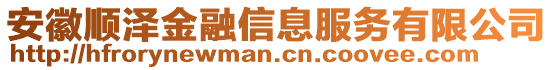 安徽順澤金融信息服務(wù)有限公司