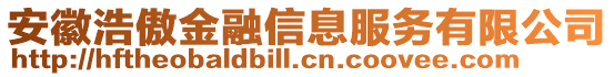 安徽浩傲金融信息服务有限公司