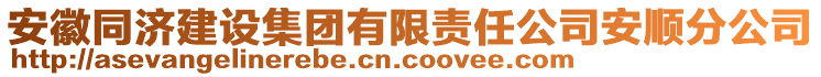 安徽同濟(jì)建設(shè)集團(tuán)有限責(zé)任公司安順分公司