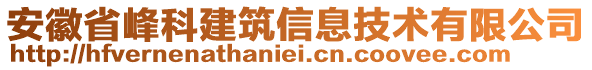 安徽省峰科建筑信息技術(shù)有限公司