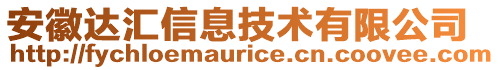 安徽達匯信息技術有限公司