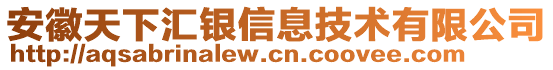 安徽天下匯銀信息技術(shù)有限公司