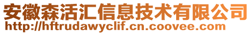 安徽森活匯信息技術(shù)有限公司