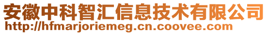 安徽中科智匯信息技術(shù)有限公司