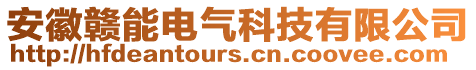 安徽贛能電氣科技有限公司