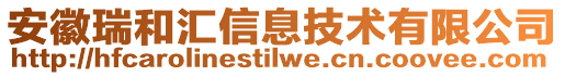 安徽瑞和匯信息技術(shù)有限公司