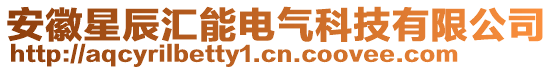 安徽星辰匯能電氣科技有限公司