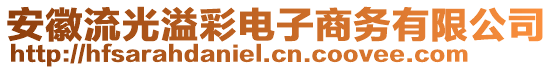 安徽流光溢彩電子商務(wù)有限公司