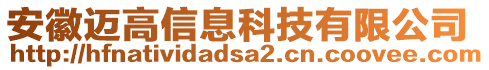 安徽邁高信息科技有限公司