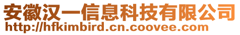 安徽漢一信息科技有限公司