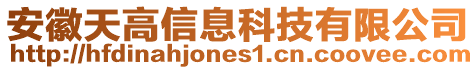 安徽天高信息科技有限公司