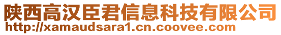 陜西高漢臣君信息科技有限公司