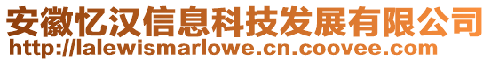 安徽憶漢信息科技發(fā)展有限公司