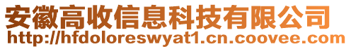 安徽高收信息科技有限公司