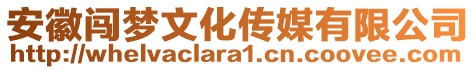 安徽闖夢(mèng)文化傳媒有限公司